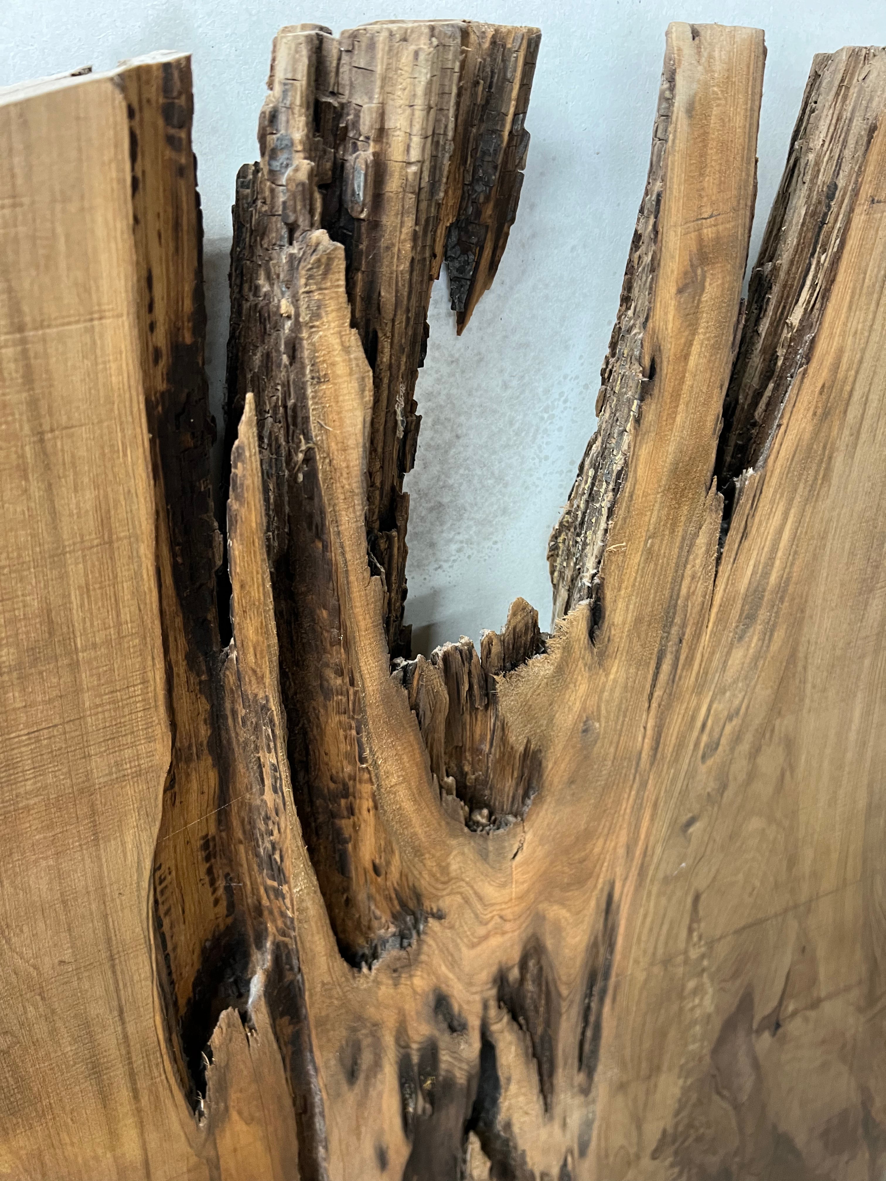 181 B.C Ancient Sinker Cypress Round (ASC_RD-002)